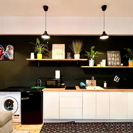 Apartment Manekin Piotrkowska 65